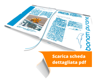 Scarica scheda  dettagliata pdf